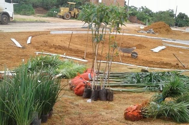 Revitalização da Praça da Igrejinha !